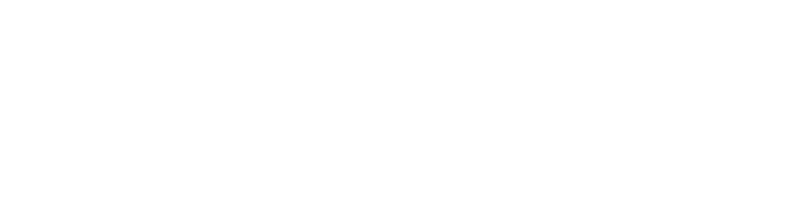 SALES ASSET